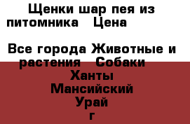 Щенки шар-пея из питомника › Цена ­ 15 000 - Все города Животные и растения » Собаки   . Ханты-Мансийский,Урай г.